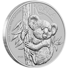 Fine Platinum Coin Australian Koala 1/10oz